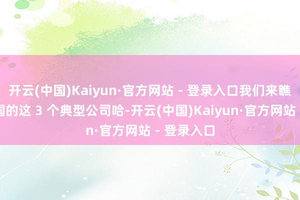 开云(中国)Kaiyun·官方网站 - 登录入口我们来瞧瞧好意思国的这 3 个典型公司哈-开云(中国)Kaiyun·官方网站 - 登录入口