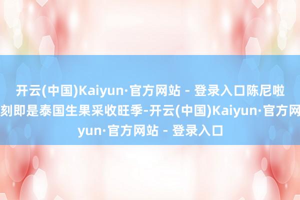 开云(中国)Kaiyun·官方网站 - 登录入口陈尼啦所说的贫困时刻即是泰国生果采收旺季-开云(中国)Kaiyun·官方网站 - 登录入口