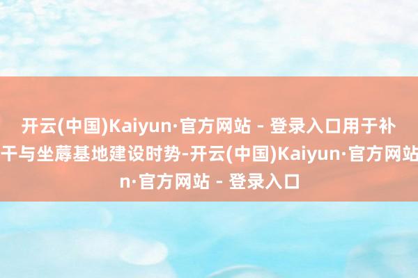 开云(中国)Kaiyun·官方网站 - 登录入口用于补流、偿债、干与坐蓐基地建设时势-开云(中国)Kaiyun·官方网站 - 登录入口